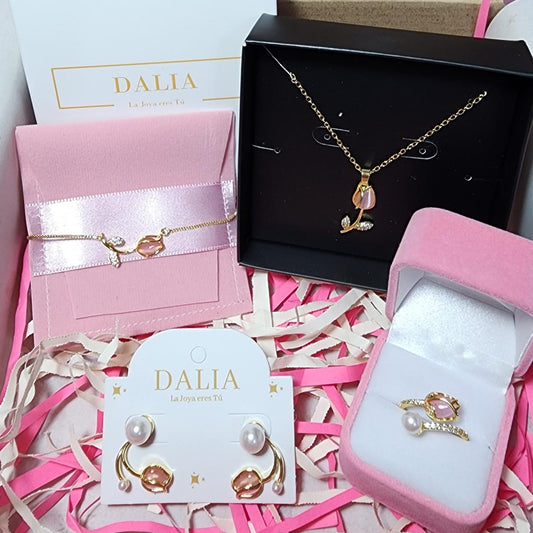 Box Tulipán Encanto - Único Full Set de 4 Accesorios LP